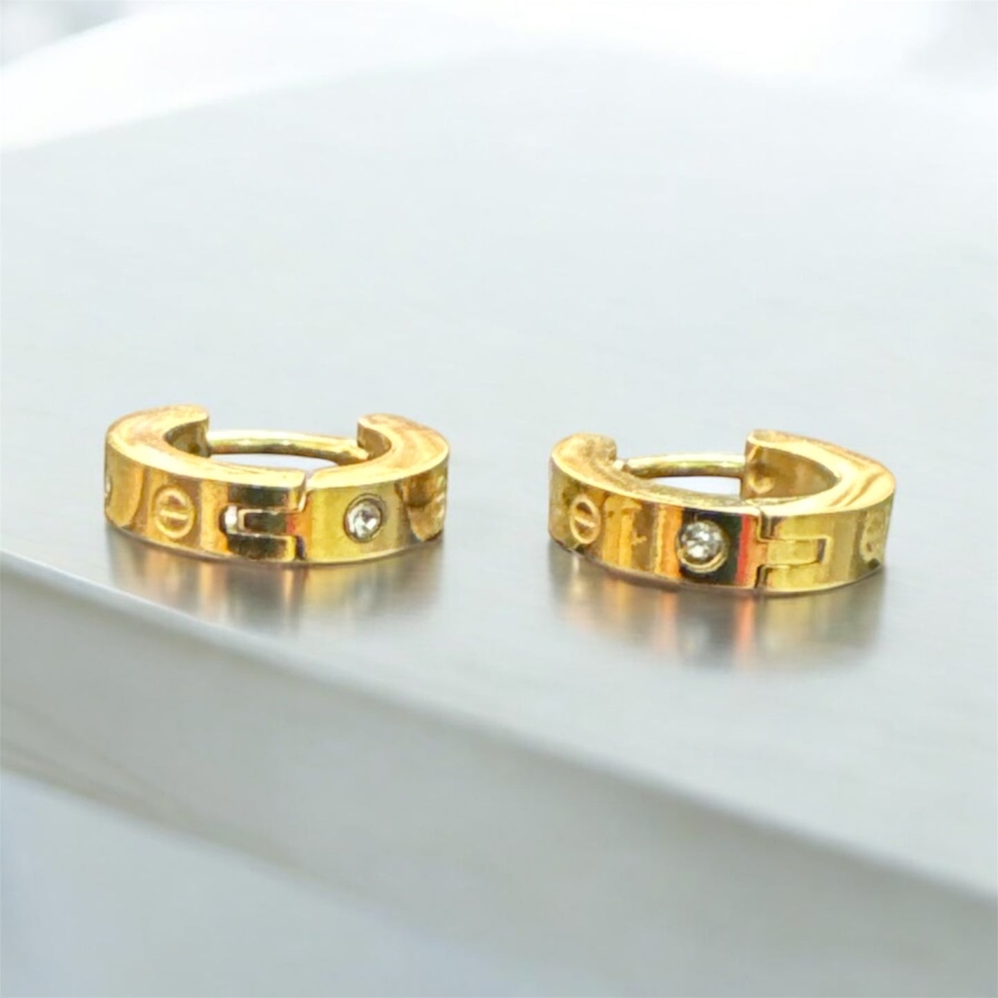 Stainlesssteel Hoop Earrings