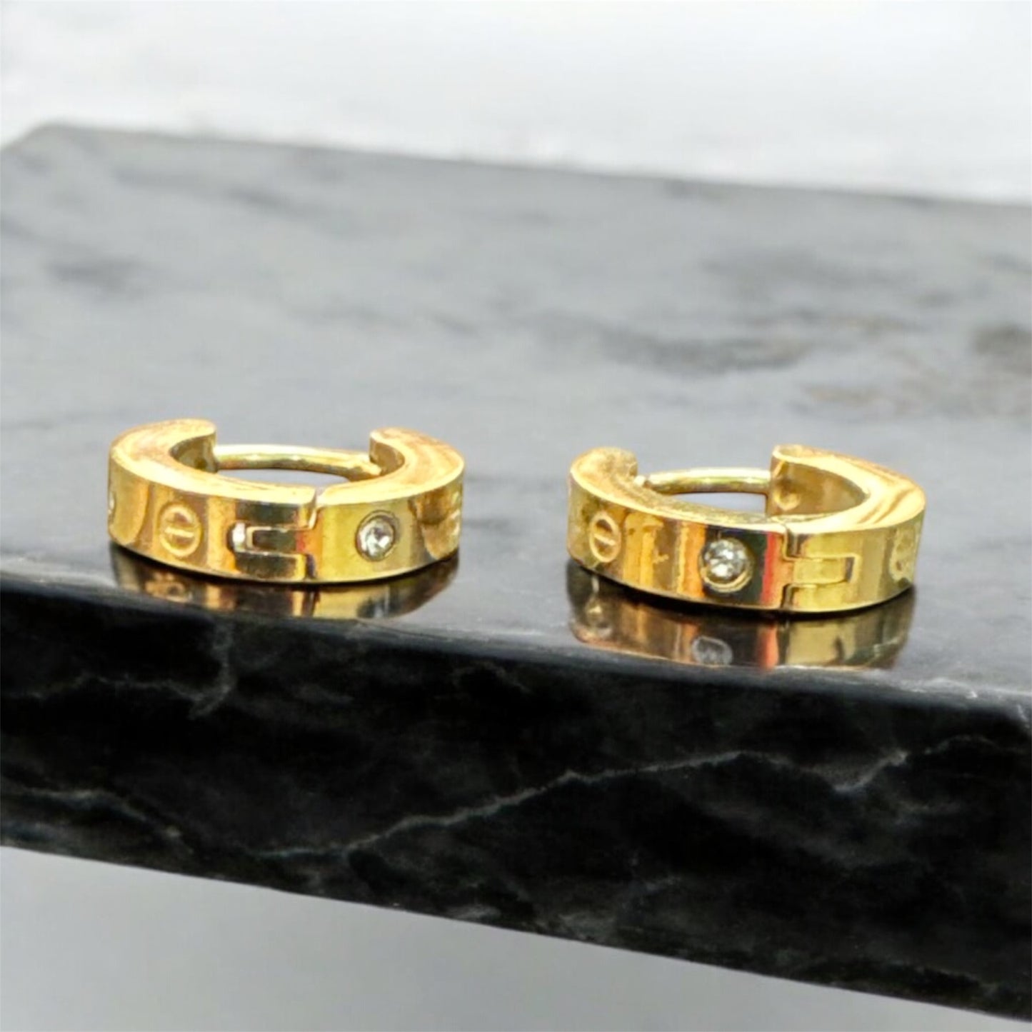 Stainlesssteel Hoop Earrings
