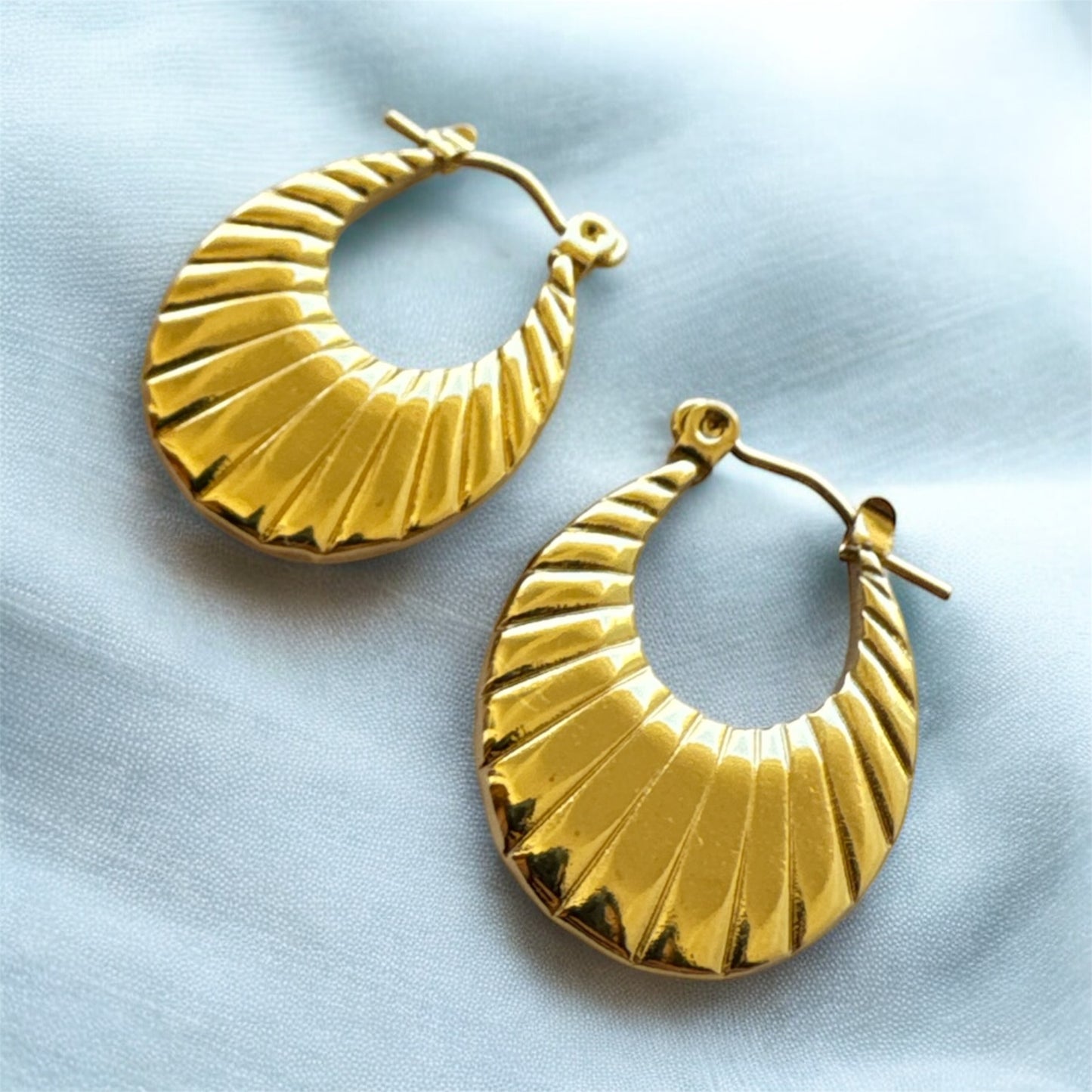 Golden Hoops Earrings
