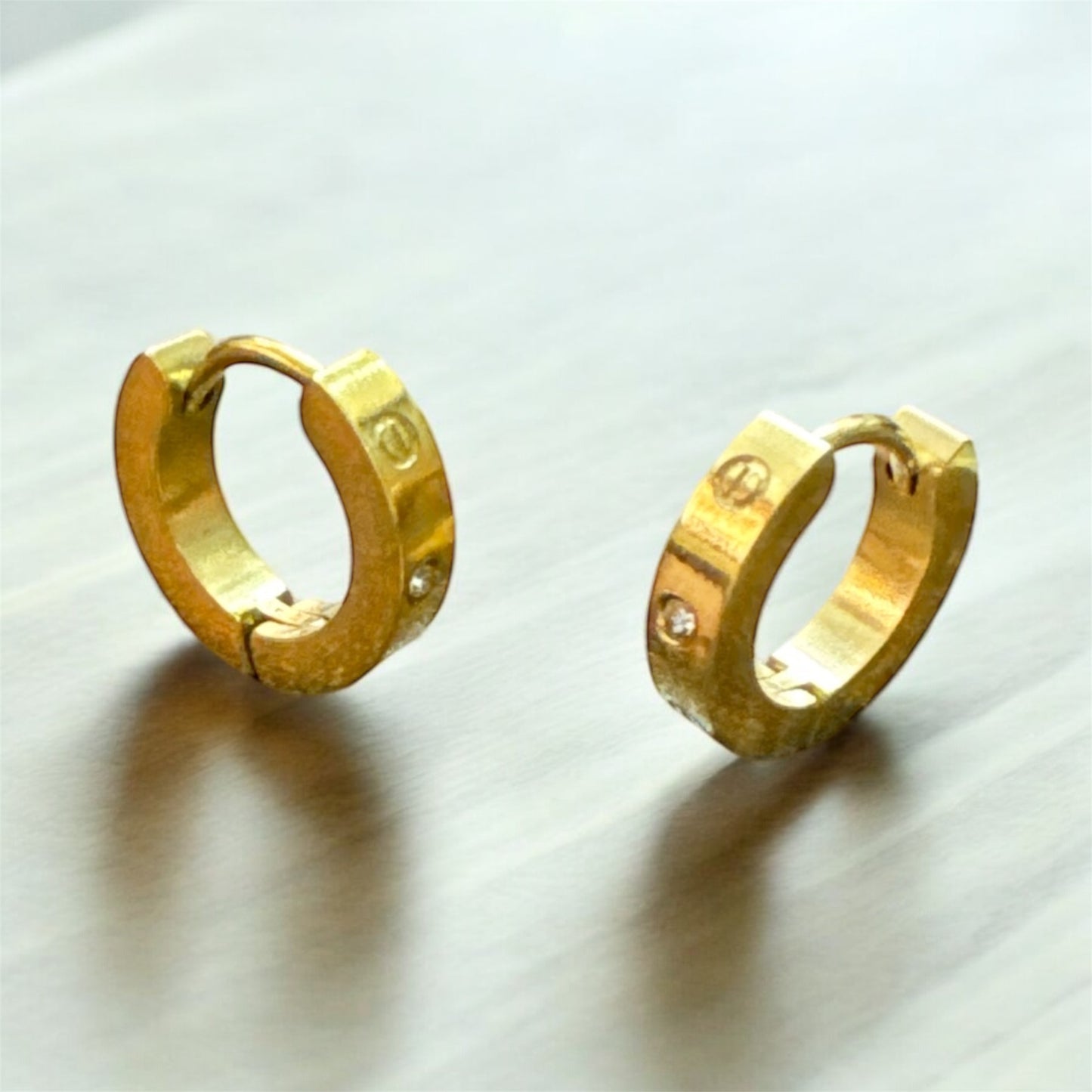 Stainlesssteel Hoop Earrings