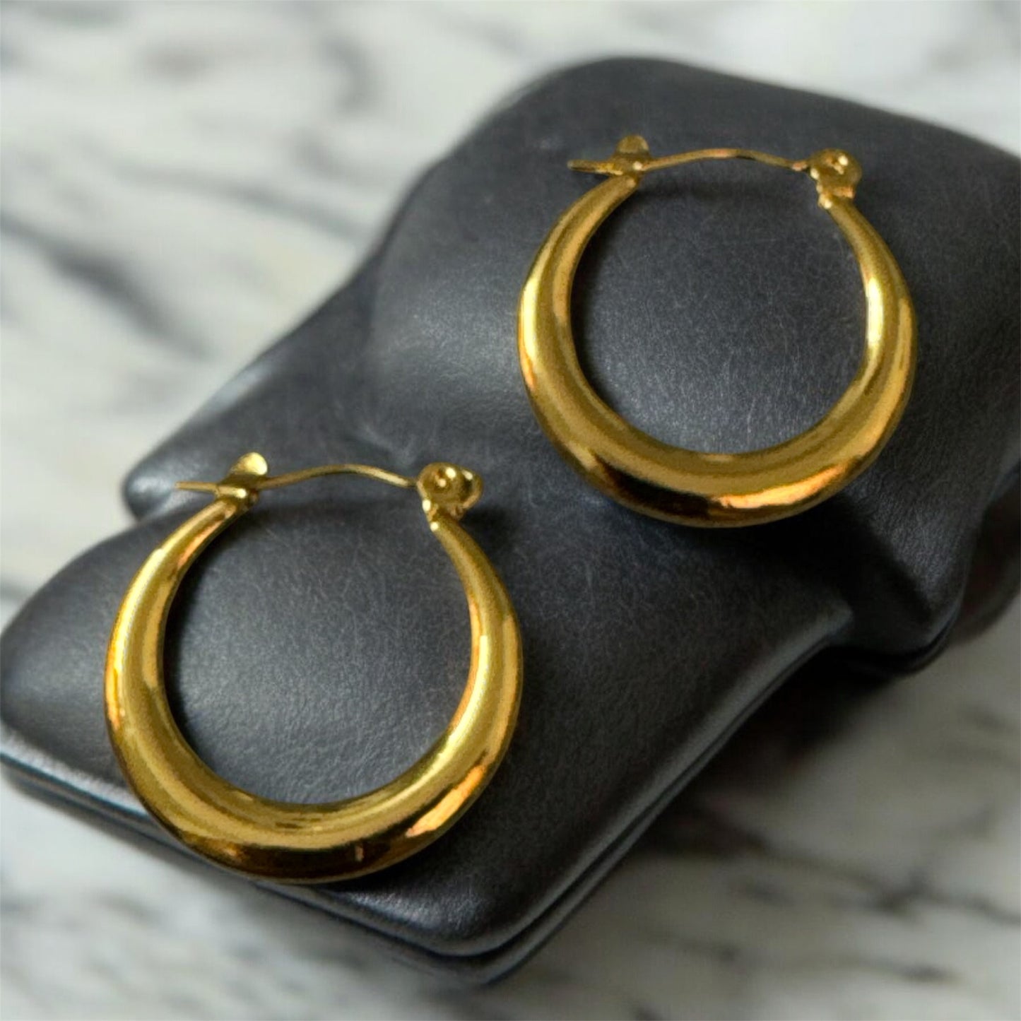 Golden Hoops Earrings