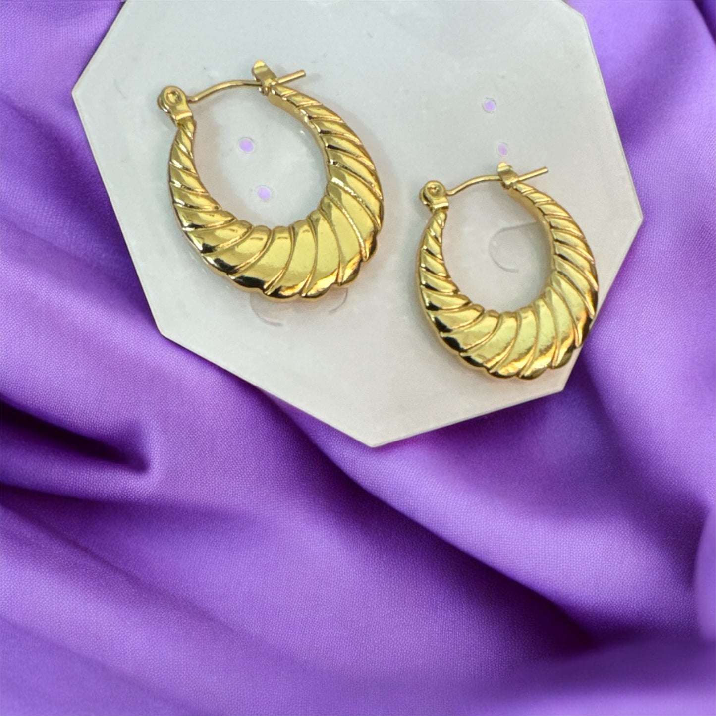 Golden Hoops Earrings