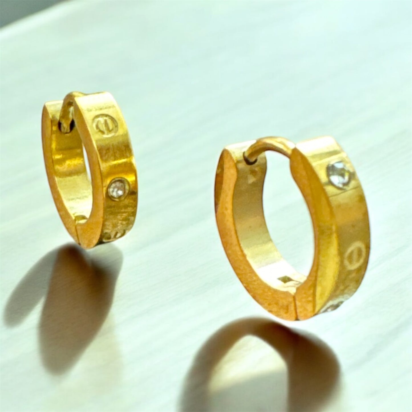 Stainlesssteel Hoop Earrings
