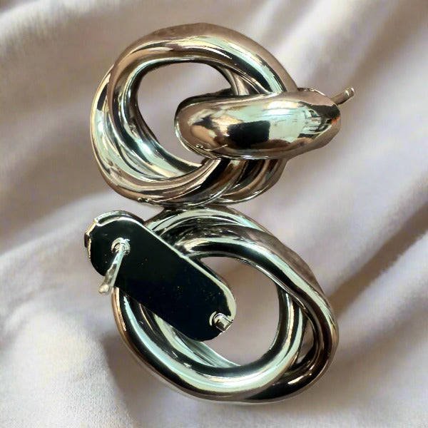 Sliver Ring Buckle Drop Earrings