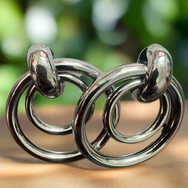 Sliver Two Layer Ring Shaped Drop Earrings
