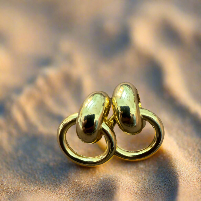 Golden Ring Shaped Drop Earrings
