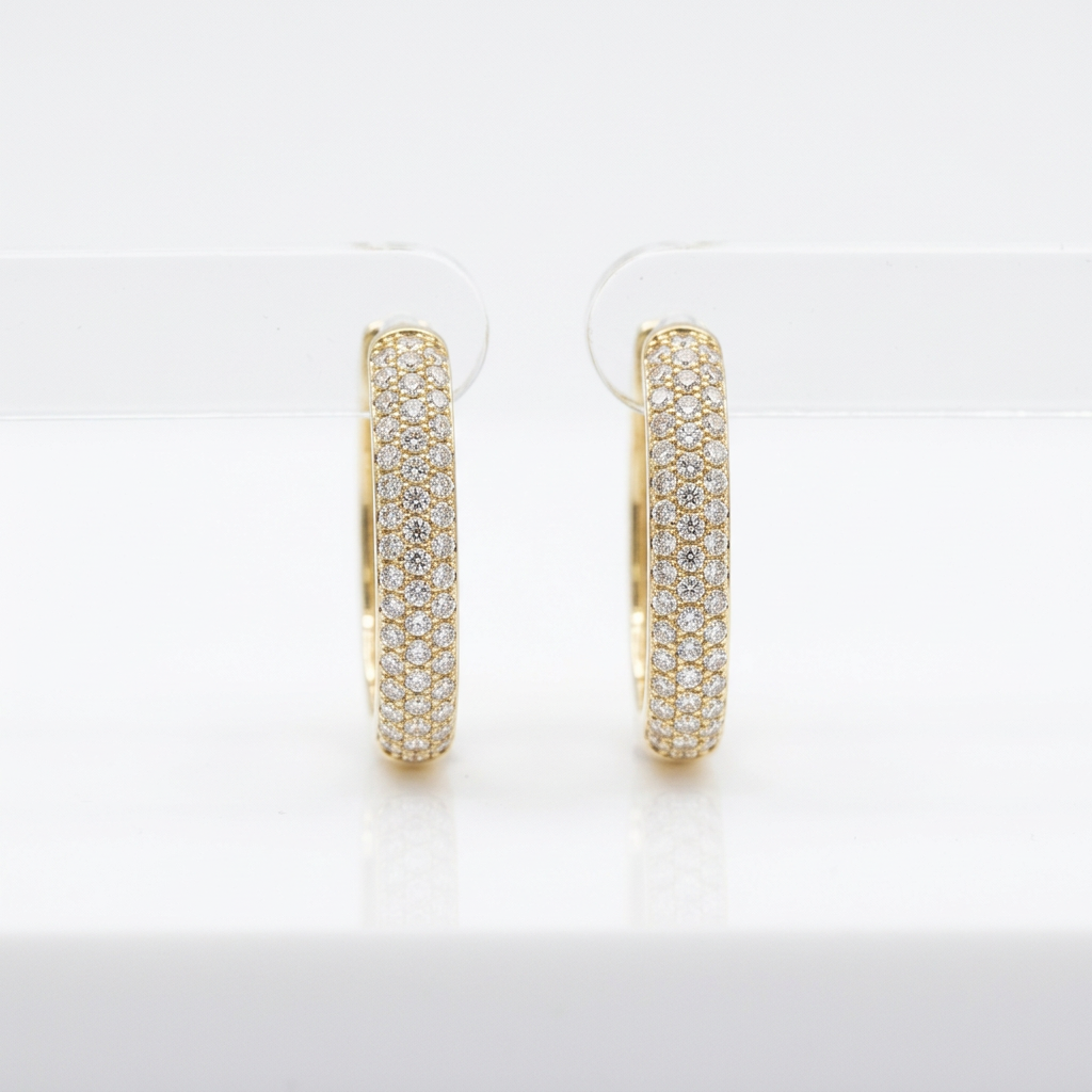 Studded Hoop Earrings