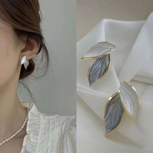 Gift Hamper 1 [6 Earrings + 2 Rings]