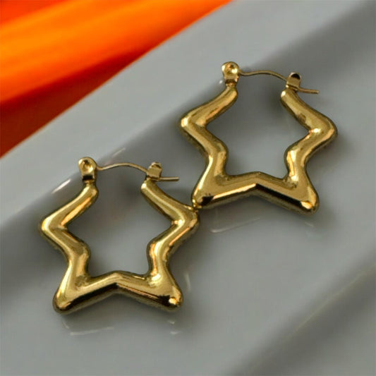 Golden Hoops Earrings