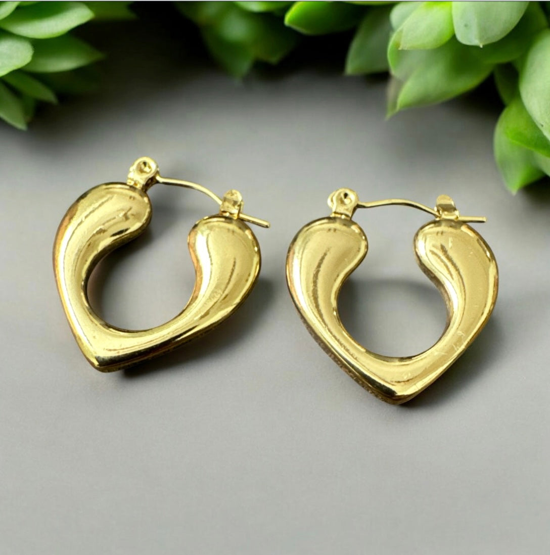 Golden Hoops Earrings