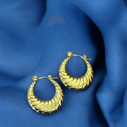 Golden Hoops Earrings