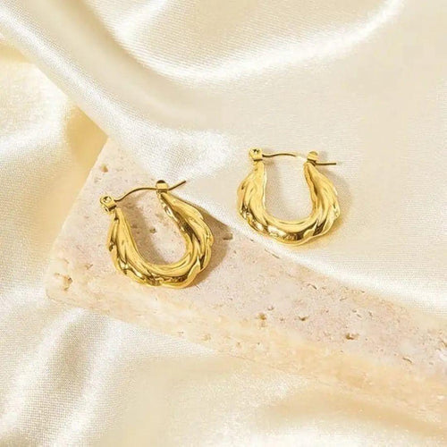 Hoop Earrings